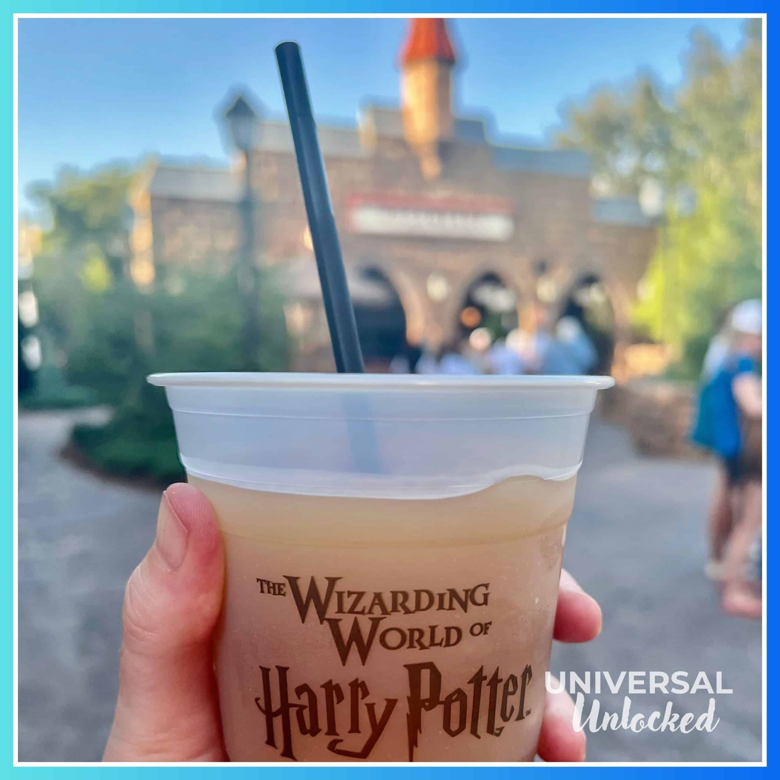 Butterbeer™ at The Wizarding World of Harry Potter™ – Hogsmeade™ at Islands of Adventure