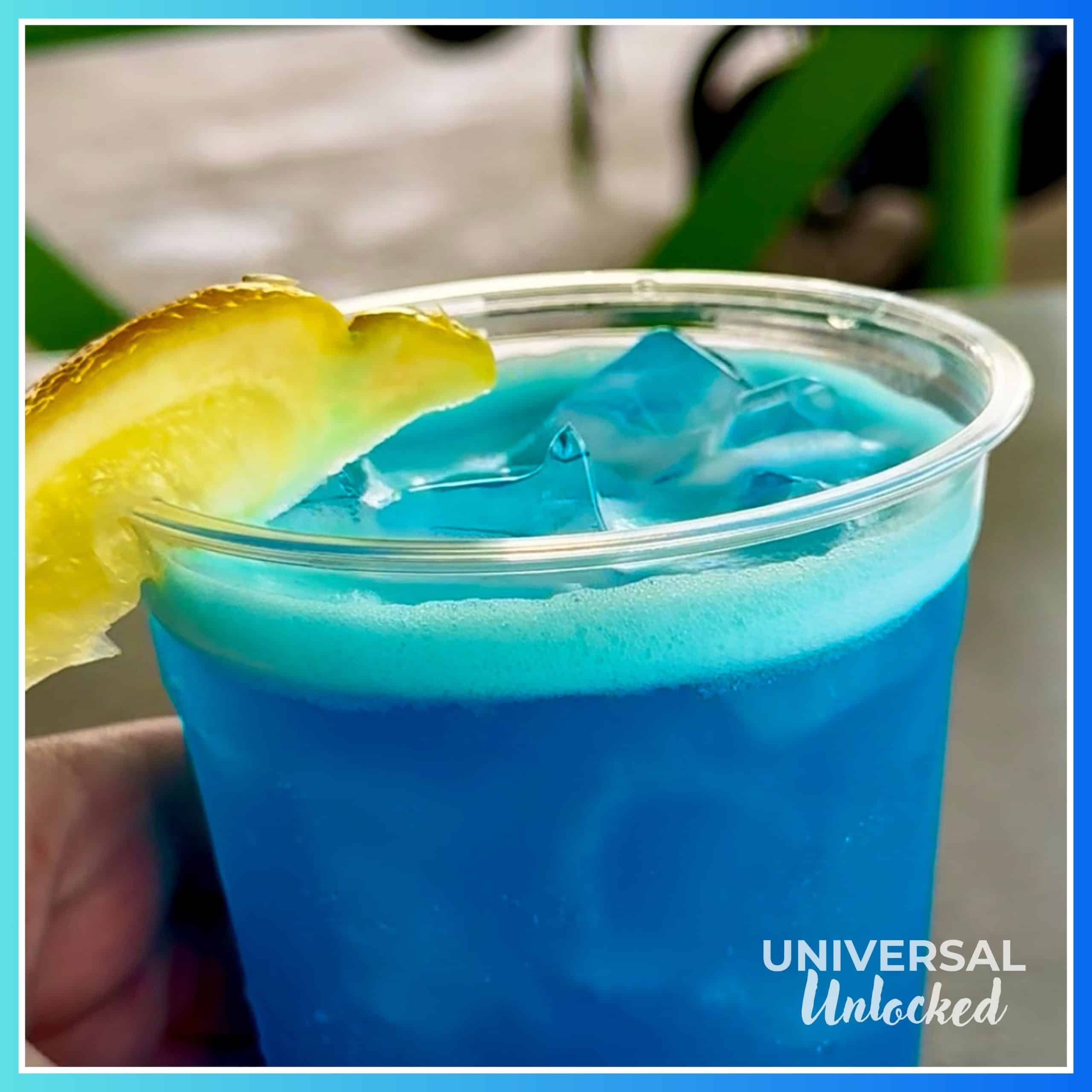Drinks at Bar Zenith in Celestial Park at EPIC Universe for the Universal Unlocked gluten free at epic universe travel guide