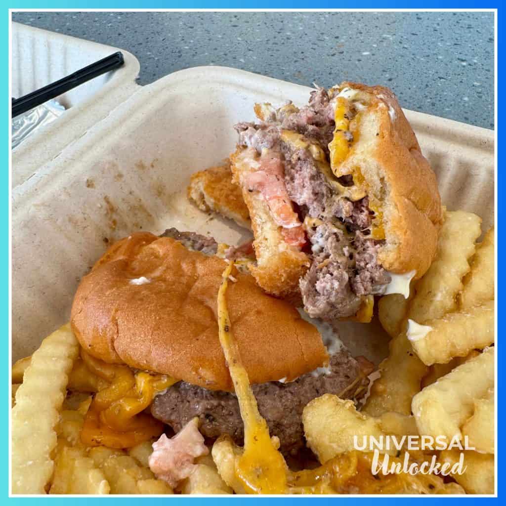 Cheeseburger and fries from Moonrise Grill at Terra Luna Resort