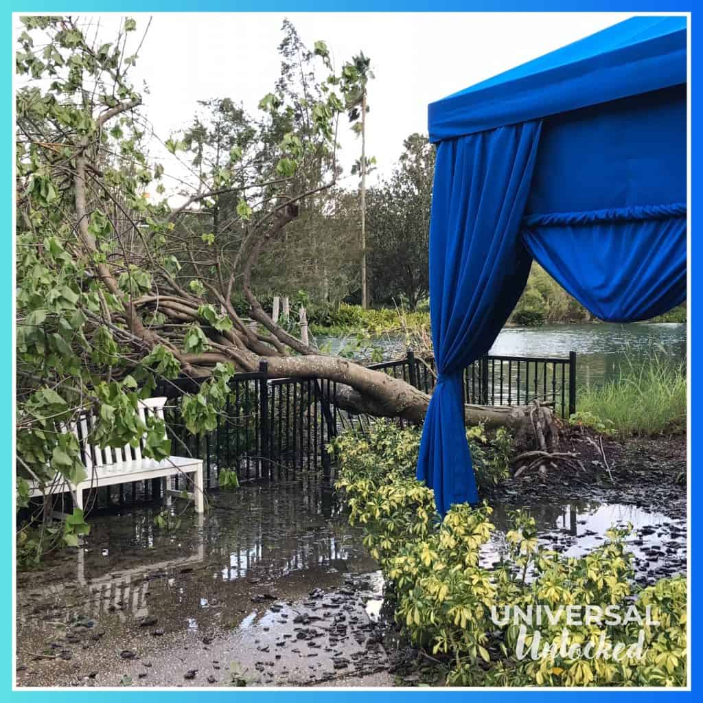 Damage along the walking path after Hurricane Irma in 2017