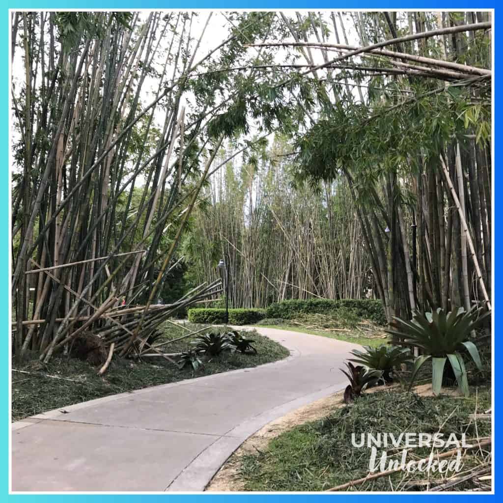 Damage along the walking path after Hurricane Irma in 2017