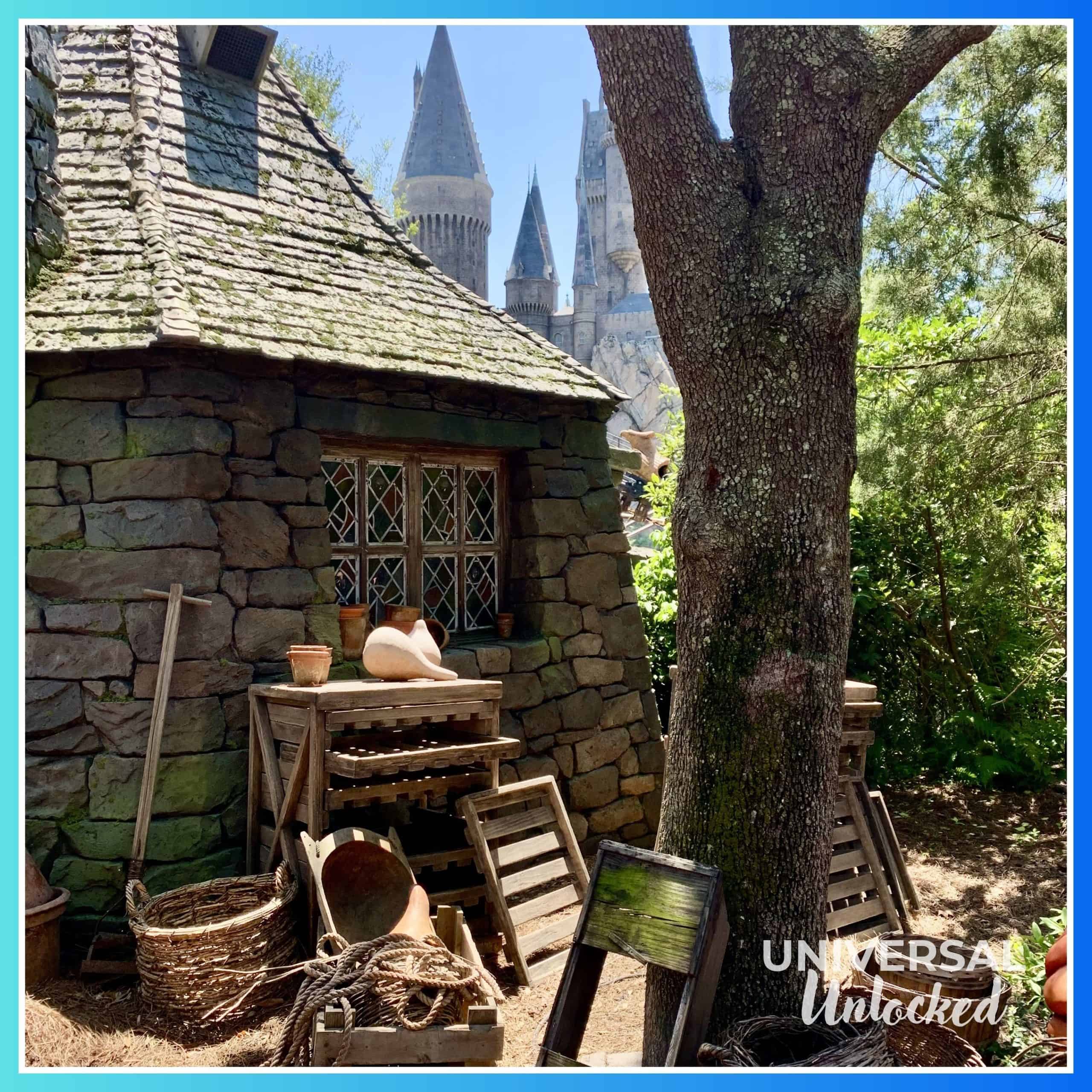 Ride queue at Hagrid's Magical Creatures Motorbike Adventure in Hogsmeade at Islands of Adventure