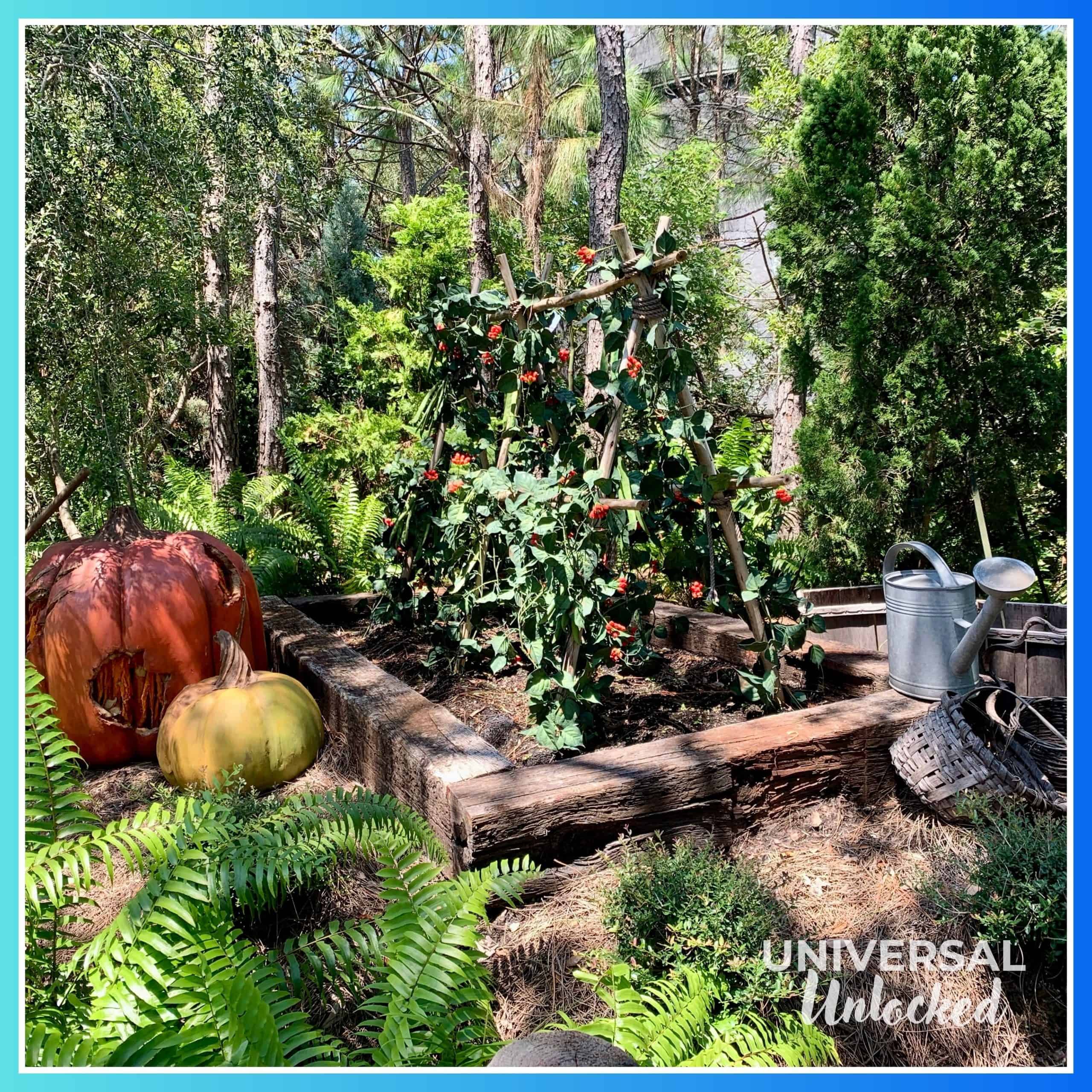 Ride queue at Hagrid's Magical Creatures Motorbike Adventure in Hogsmeade at Islands of Adventure