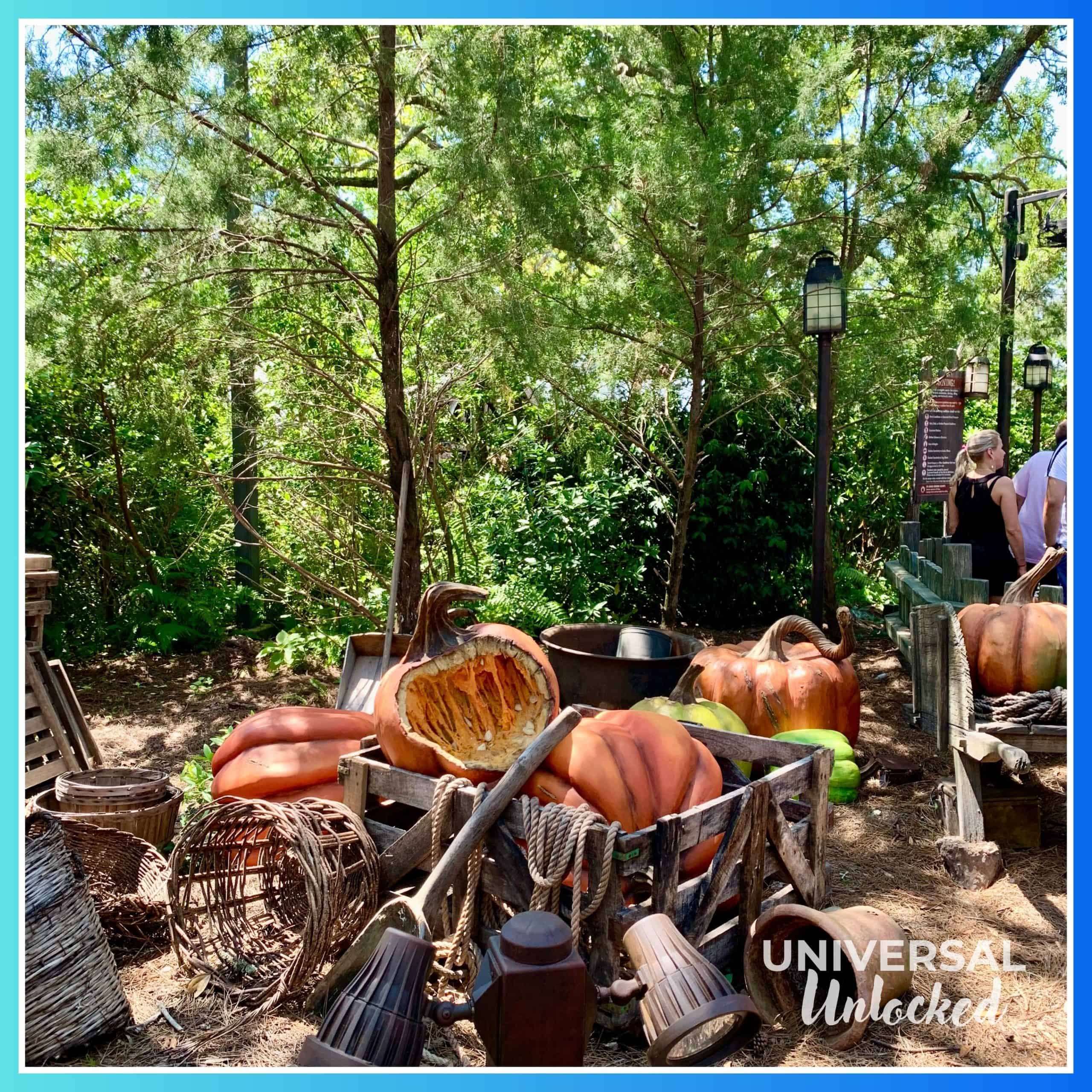 Ride queue at Hagrid's Magical Creatures Motorbike Adventure in Hogsmeade at Islands of Adventure