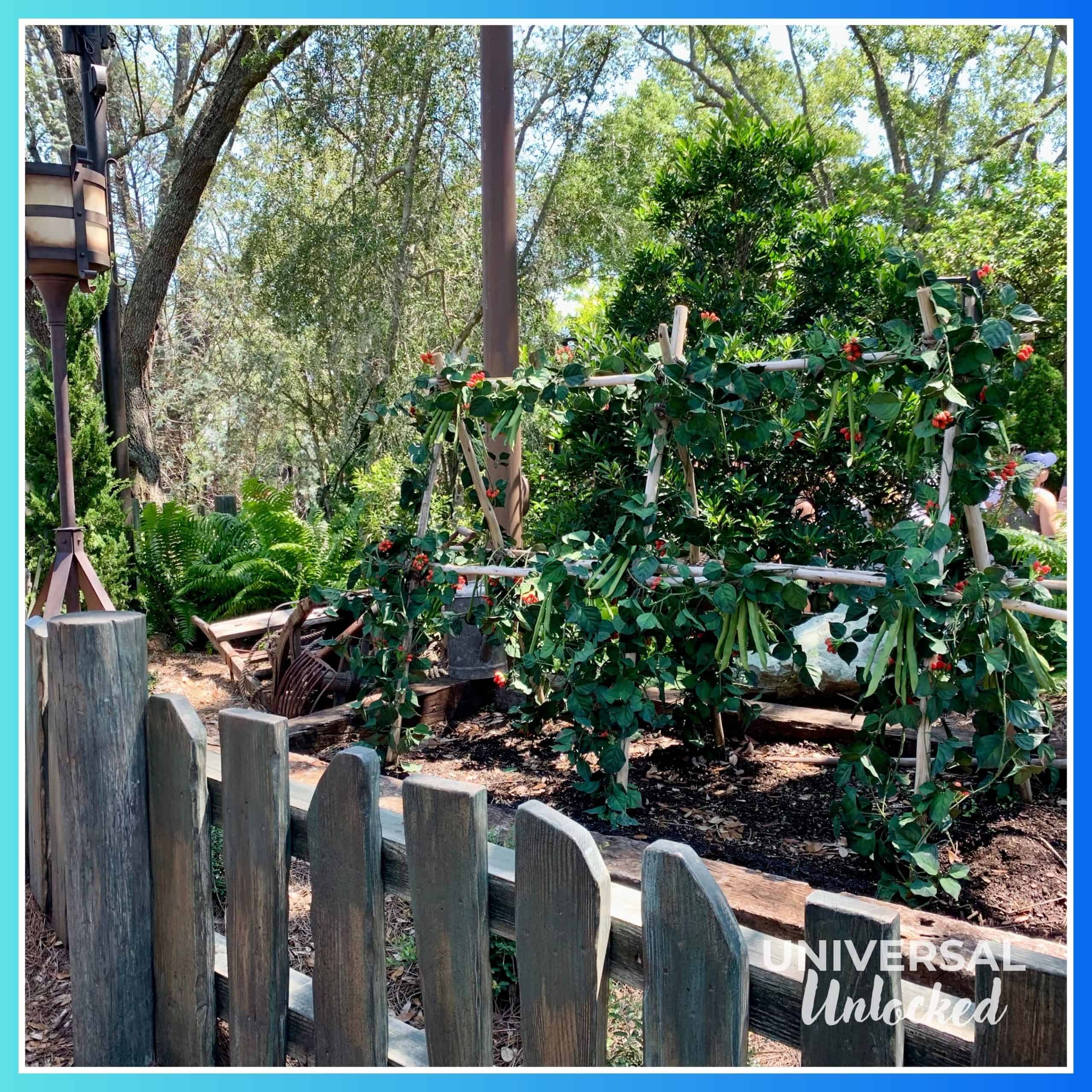 Ride queue at Hagrid's Magical Creatures Motorbike Adventure in Hogsmeade at Islands of Adventure