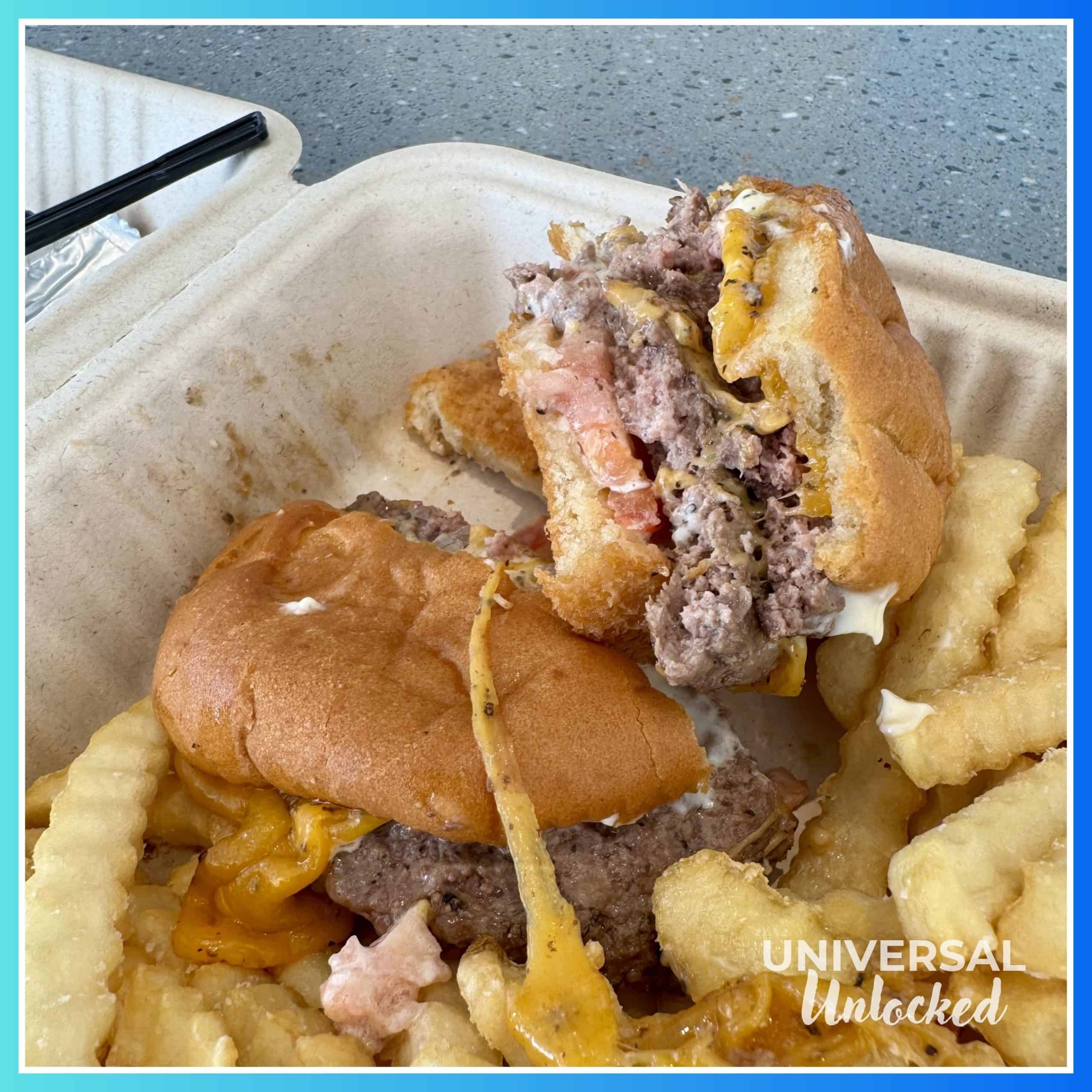 Gluten free burger from the Moonrise Grill at Terra Luna Resort