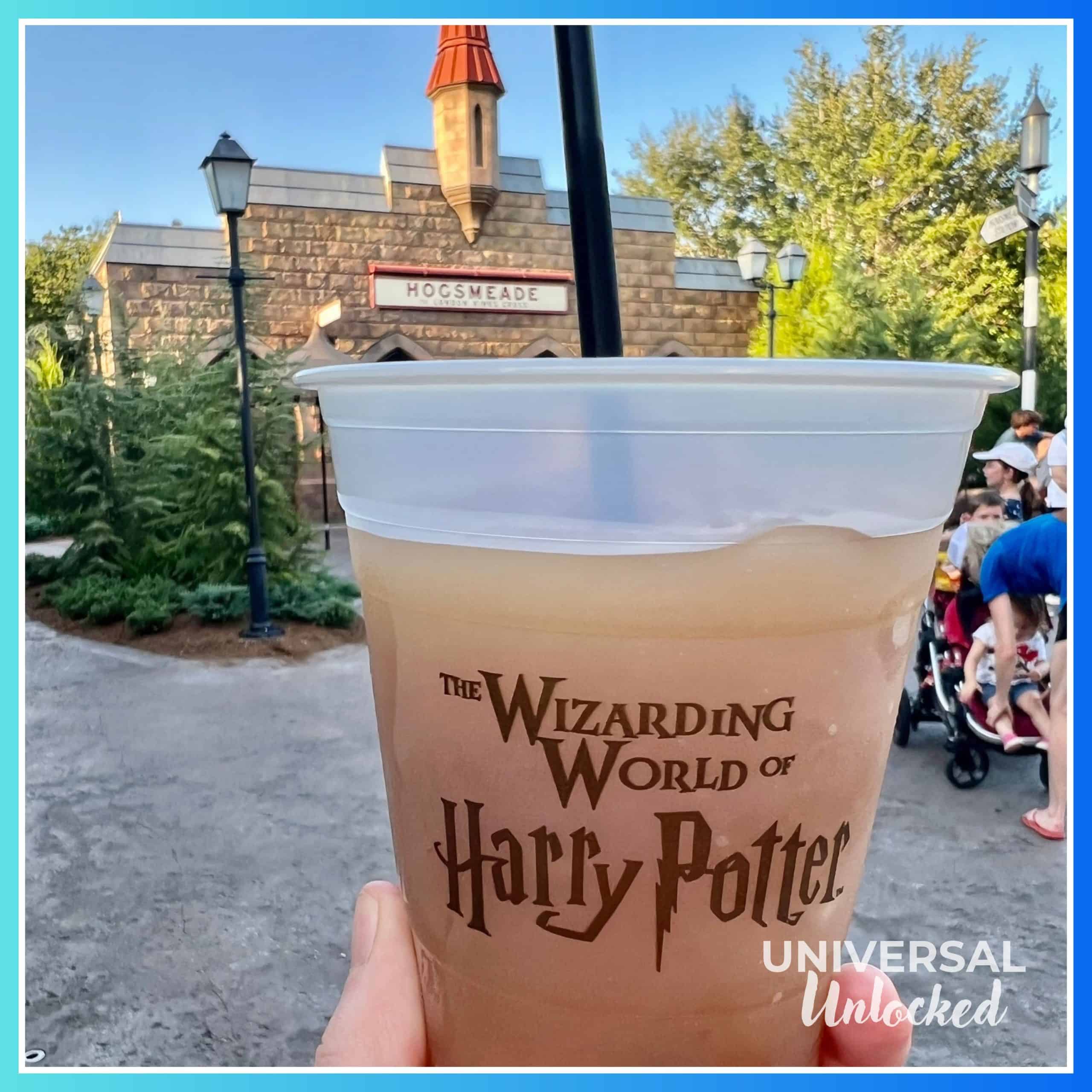 Frozen Butterbeer™ in The Wizarding World of Harry Potter™ – Hogsmeade™